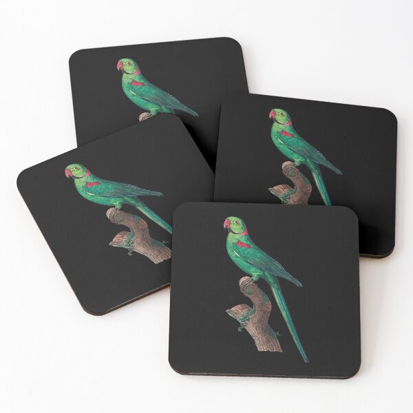 Item preview, The Rose Ringed Parakeet Psittacula Krameri Parrot by Francois Levaillant designed and sold by NovisPets.