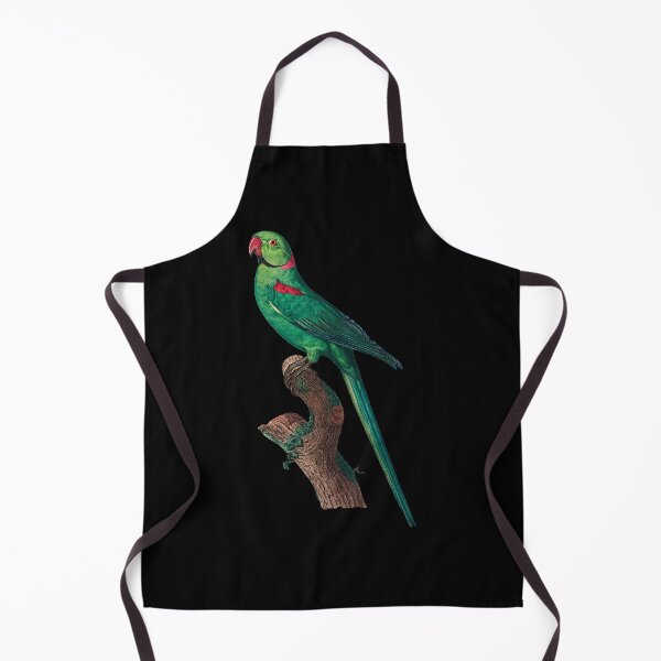 Item preview, The Rose Ringed Parakeet Psittacula Krameri Parrot by Francois Levaillant designed and sold by NovisPets.