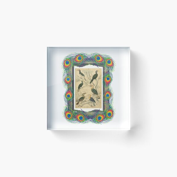 Item preview, Zoological board "Hornbills". designed and sold by AdvanceDesign.