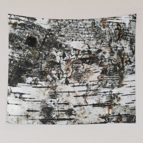 Item preview, Textured Tree Bark, old tree, woods, nature, forest,  birch bark designed and sold by Collagedream.