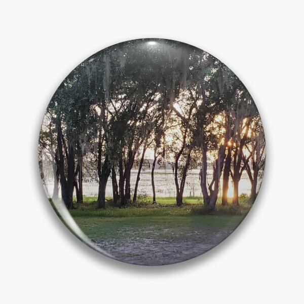 Item preview, Florida Sunset in Ocala, Florida designed and sold by ZCS2014.