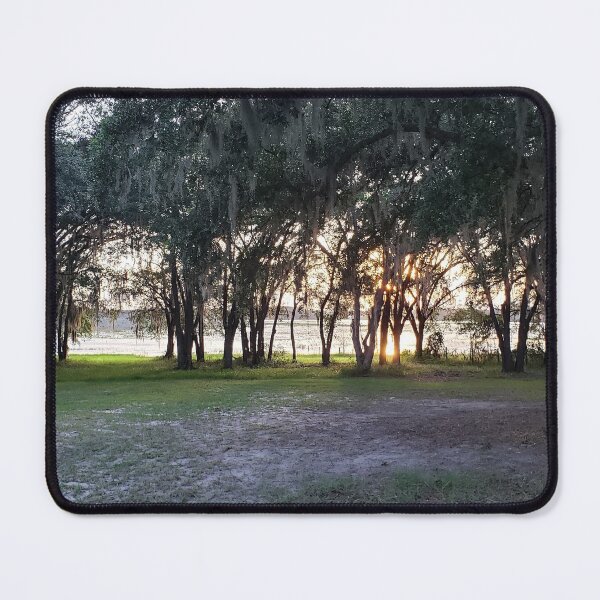 Item preview, Florida Sunset in Ocala, Florida designed and sold by ZCS2014.