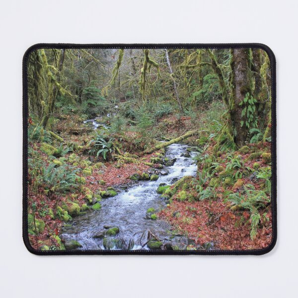 Item preview, Hoh rainforest designed and sold by Zach Auerbach.