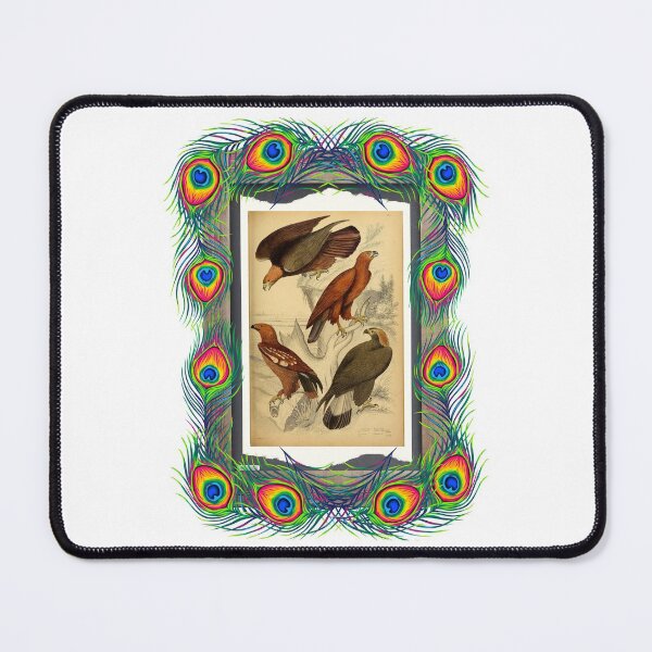 Item preview, Zoological board "Aigles". designed and sold by AdvanceDesign.