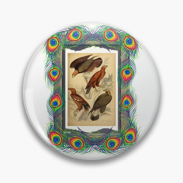 Item preview, Zoological board "Aigles". designed and sold by AdvanceDesign.