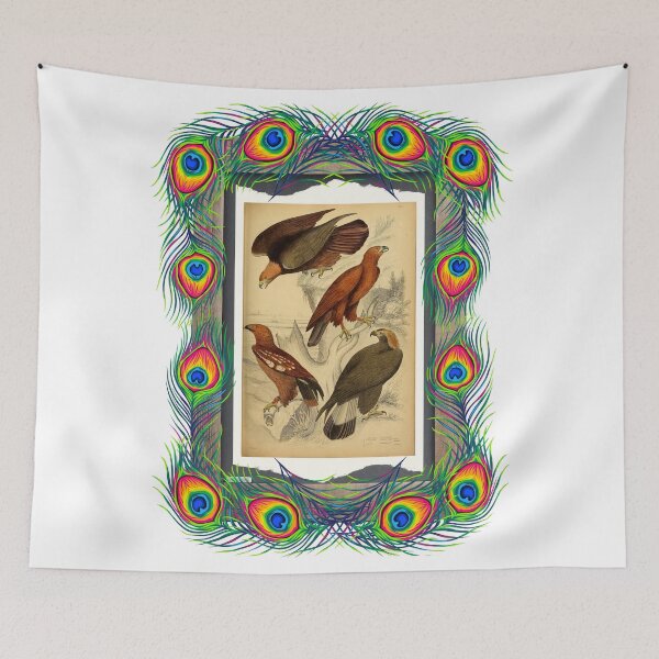 Item preview, Zoological board "Aigles". designed and sold by AdvanceDesign.