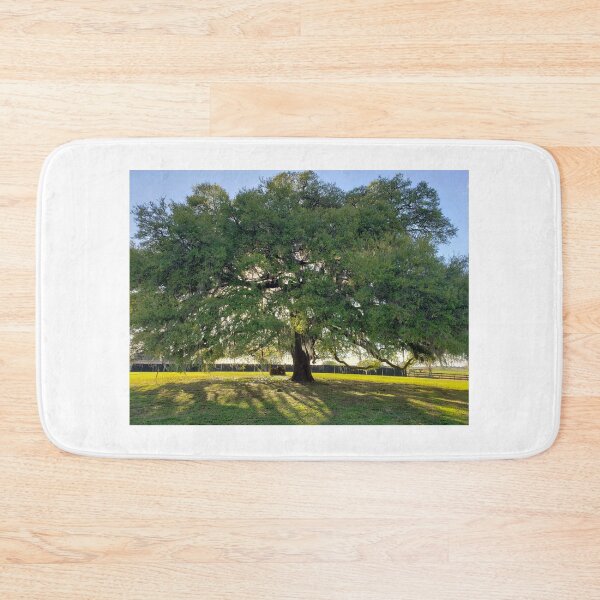 Item preview, Majestic Granddaddy Oak tree in Ocala, Florida. designed and sold by ZCS2014.