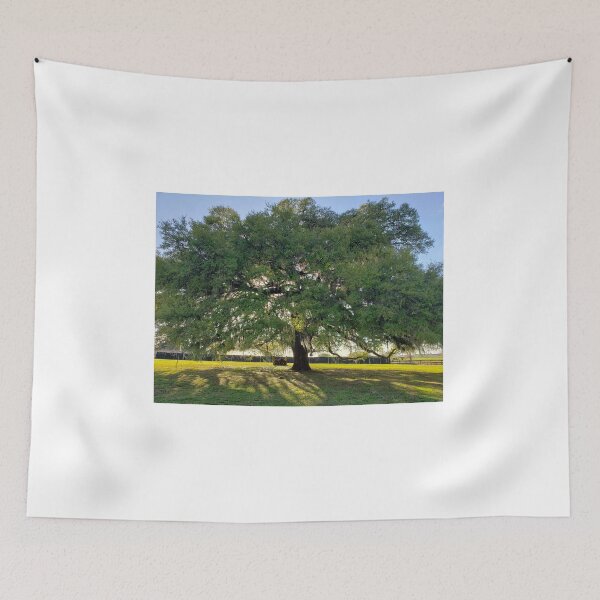 Item preview, Majestic Granddaddy Oak tree in Ocala, Florida. designed and sold by ZCS2014.