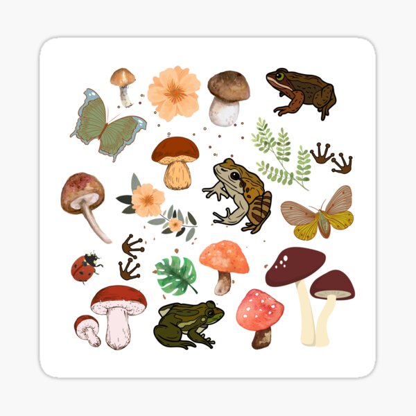 Mushrooms & Moths Sticker Sheet – The Print Pantry