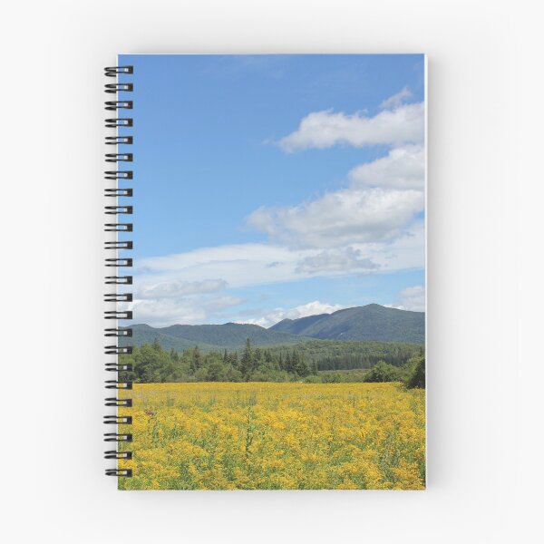 Item preview, lake placid designed and sold by Zach Auerbach.