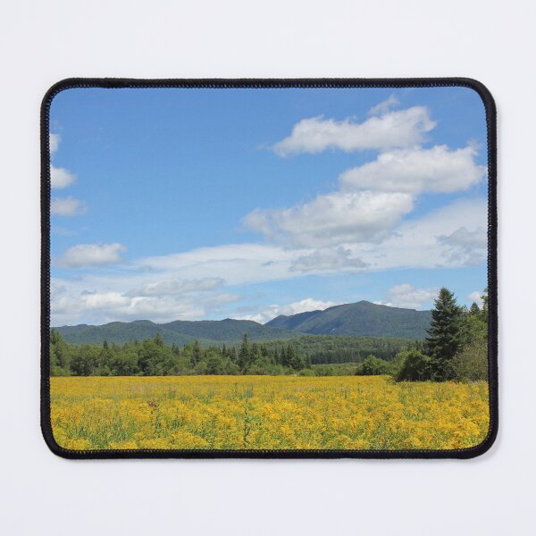 Item preview, lake placid designed and sold by Zach Auerbach.