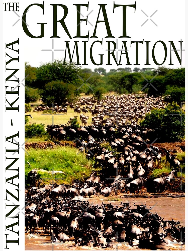 The Great Migration Poster By Maarifa Redbubble   Flat,750x,075,f Pad,750x1000,f8f8f8 