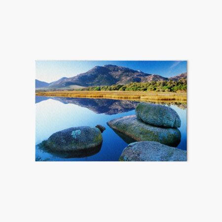 Tidal River Reflection Art Board Print