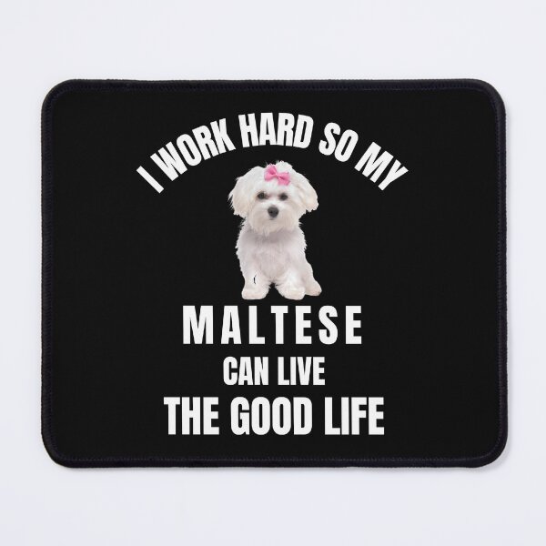 Item preview, I work hard So my Maltese can live the good life ,cute designed and sold by Artystico ⭐⭐⭐⭐⭐.