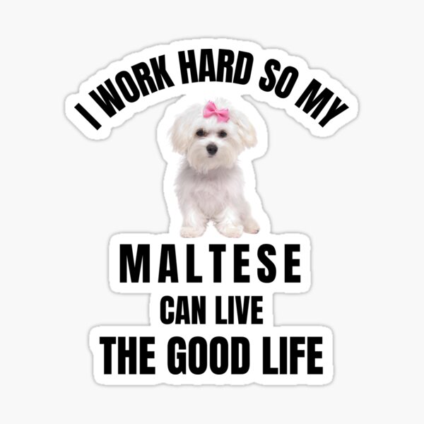 Item preview,  I work hard So my Maltese can live the good life ,cute designed and sold by Artystico  ⭐⭐⭐⭐⭐.