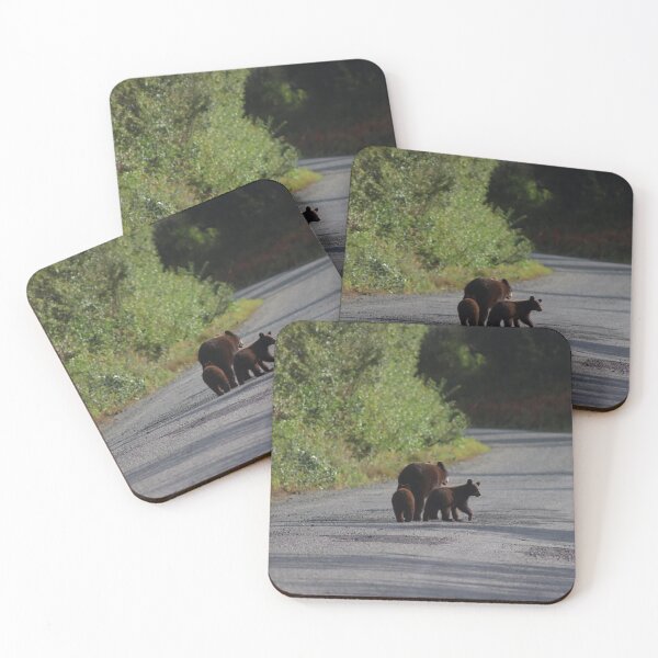 Item preview, Bears designed and sold by Zach Auerbach.