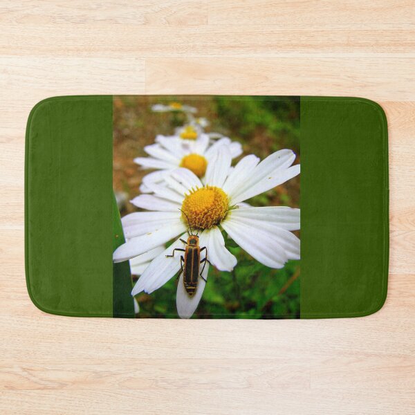 Item preview, Marguerite Daisies and a Margined Leatherwing  designed and sold by Jean Gregory Evans.