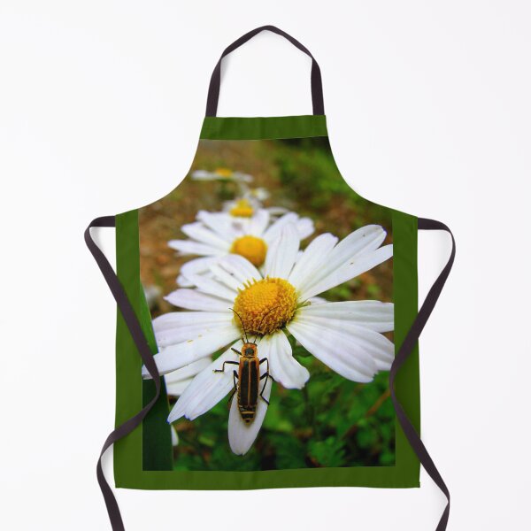 Item preview, Marguerite Daisies and a Margined Leatherwing designed and sold by Jean Gregory Evans.