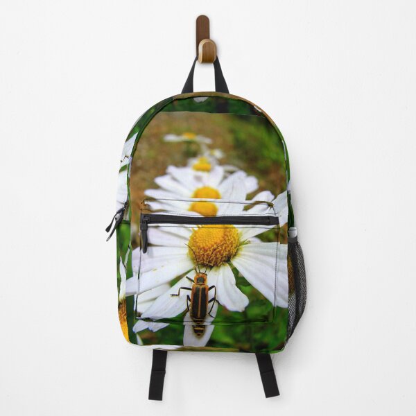 Item preview, Marguerite Daisies and a Margined Leatherwing  designed and sold by Jean Gregory Evans.