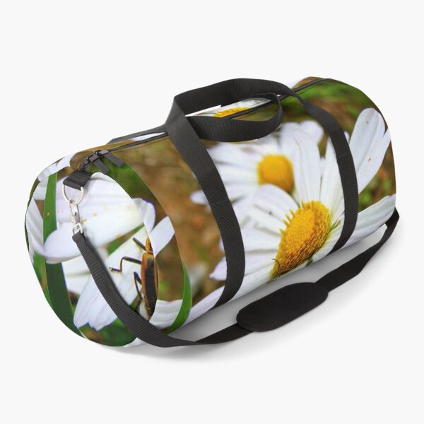 Artikelvorschau, Margerite Daisies und eine Leatherwing Margin entworfen und verkauft von Jean Gregory Evans.
