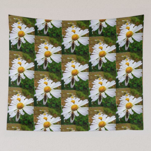 Item preview, Marguerite Daisies and a Margined Leatherwing  designed and sold by Jean Gregory Evans.