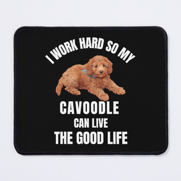 Item preview,  I work hard So my Cavoodle can live the good life designed and sold by Artystico  ⭐⭐⭐⭐⭐.