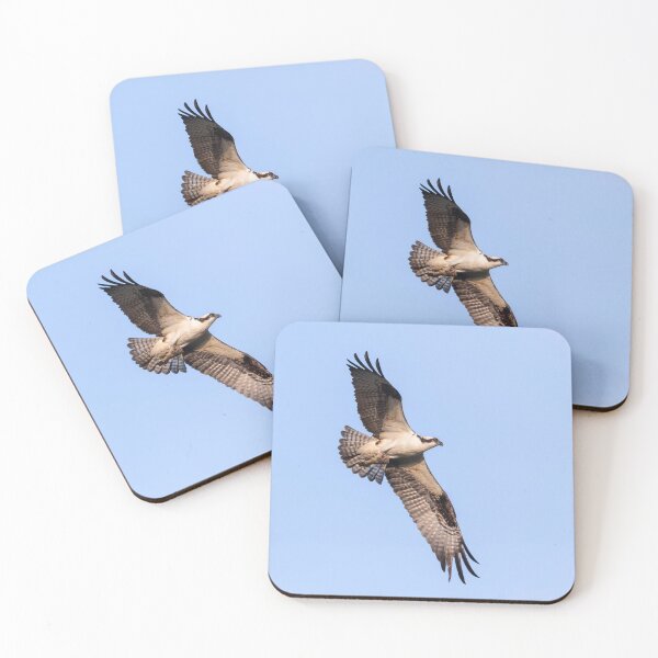 Item preview, Osprey 2021-6 designed and sold by Thomasyoung.