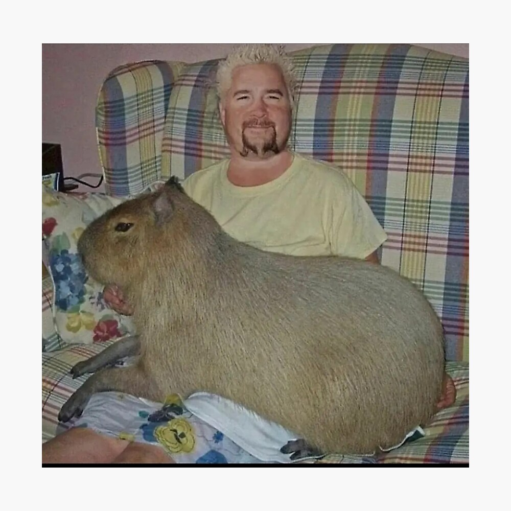 guy fieri with capybara Poster