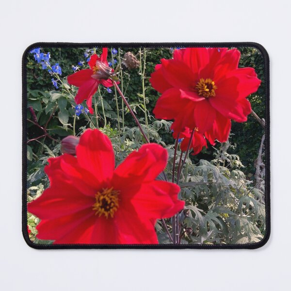 Item preview, Dahlias and Delphiniums Garden Photography designed and sold by OByD.