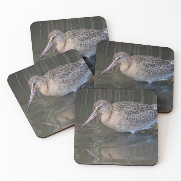 Item preview, Black Tailed Godwit designed and sold by LaurenTucker.