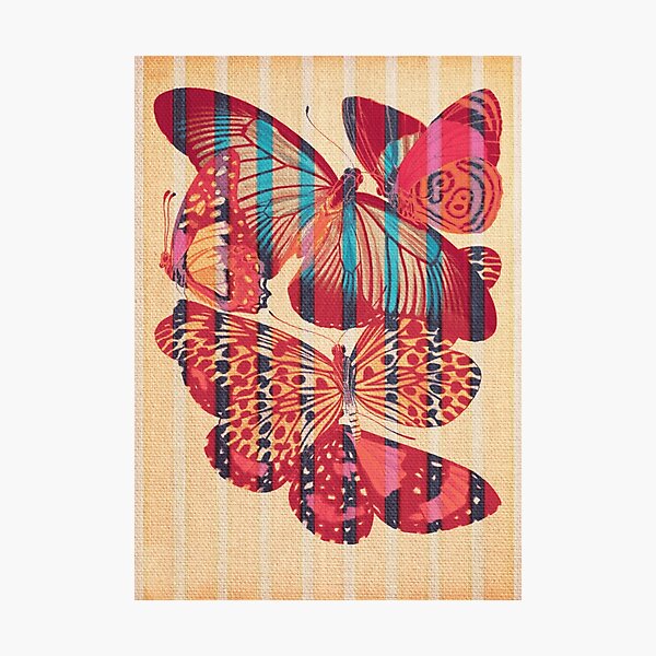 Butterflies in Strips Photographic Print