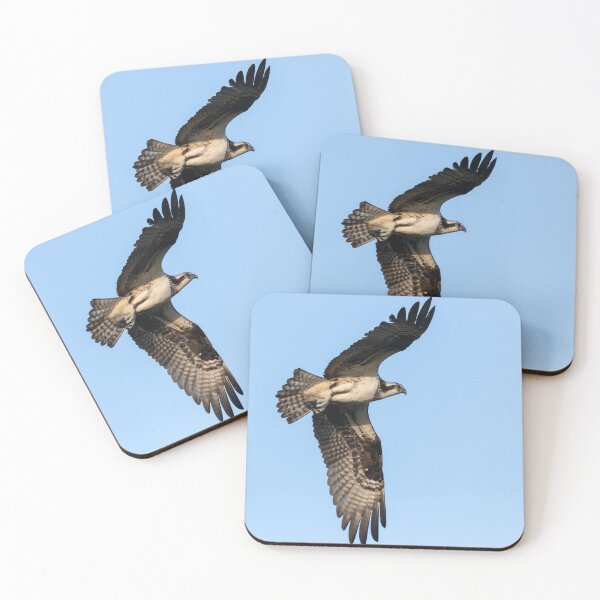 Item preview, Osprey 2021-7 designed and sold by Thomasyoung.