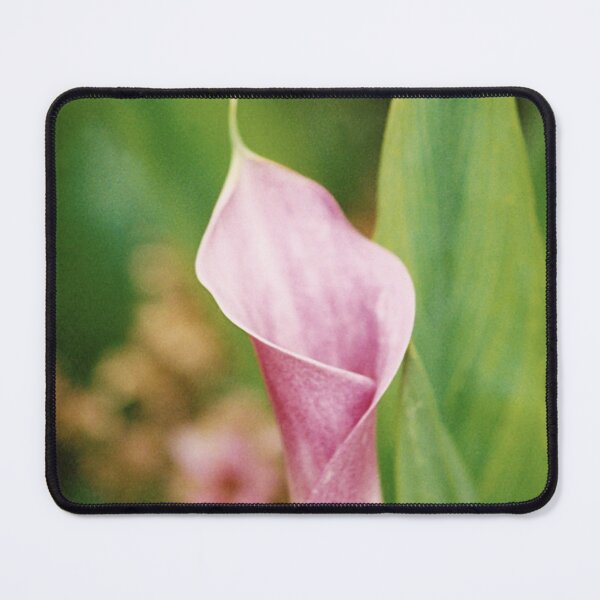 Item preview, Anthurium designed and sold by Emilie Fauquet.
