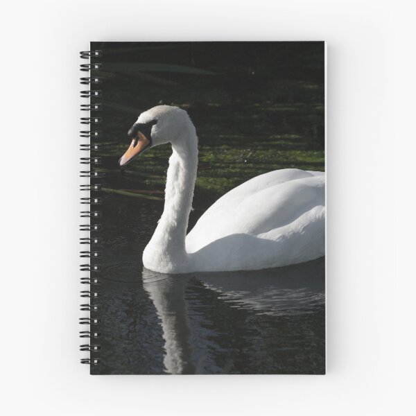 Item preview, Proud Swan designed and sold by GingerMan2550.