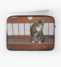 Love Bear Laptop Sleeve
