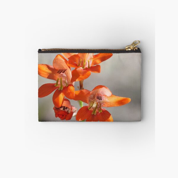 Item preview, Tritonia laxifolia designed and sold by Rina Greeff.