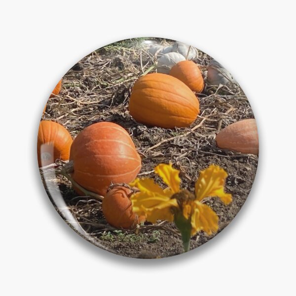 Item preview, Pumpkin patch photography designed and sold by OByD.