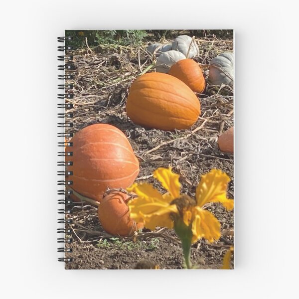 Item preview, Pumpkin patch photography designed and sold by OByD.
