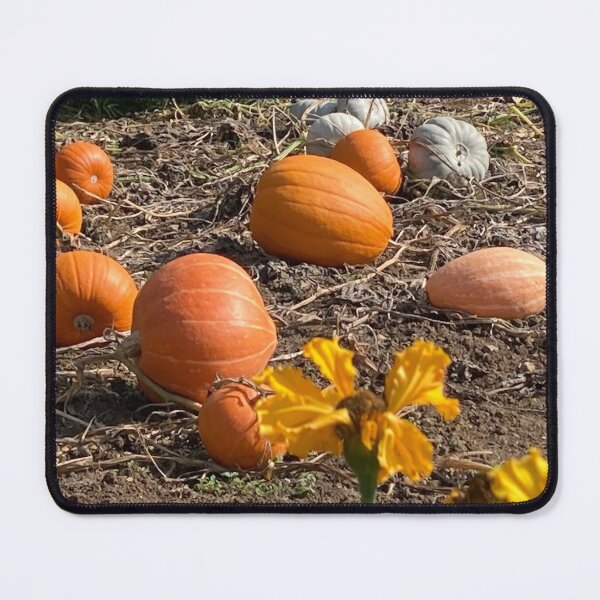 Item preview, Pumpkin patch photography designed and sold by OByD.