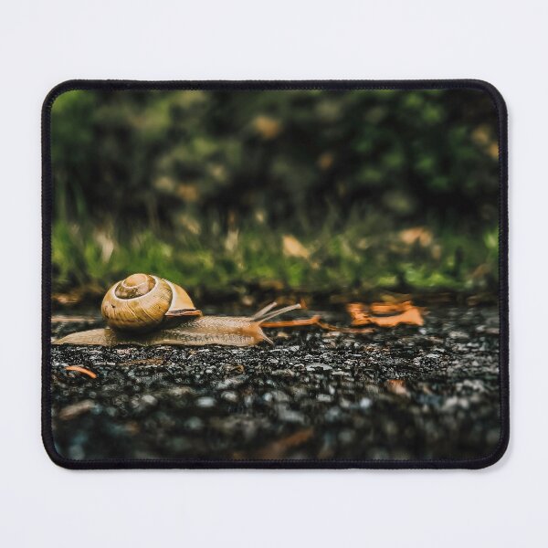 Item preview, Moving Day designed and sold by Steve Walser.