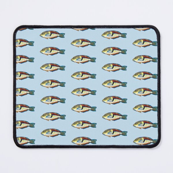 Item preview, Yellowhead Wrasse designed and sold by vanilla-phantom.