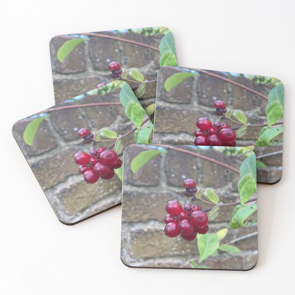 Item preview, Glossy Red Berries In a Walled Garden Photograph  designed and sold by OByD.