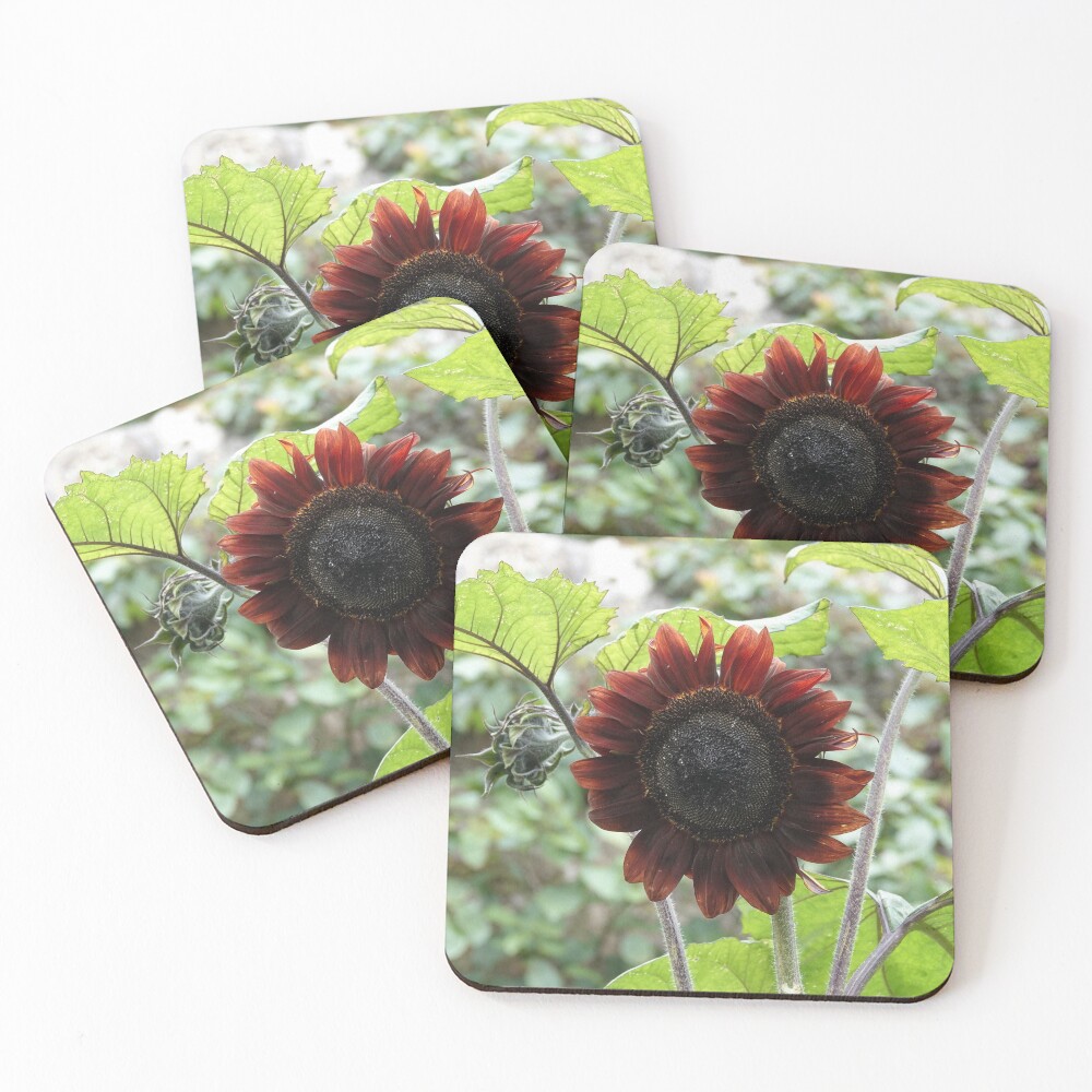 Item preview, Coasters (Set of 4) designed and sold by HappySnapping.