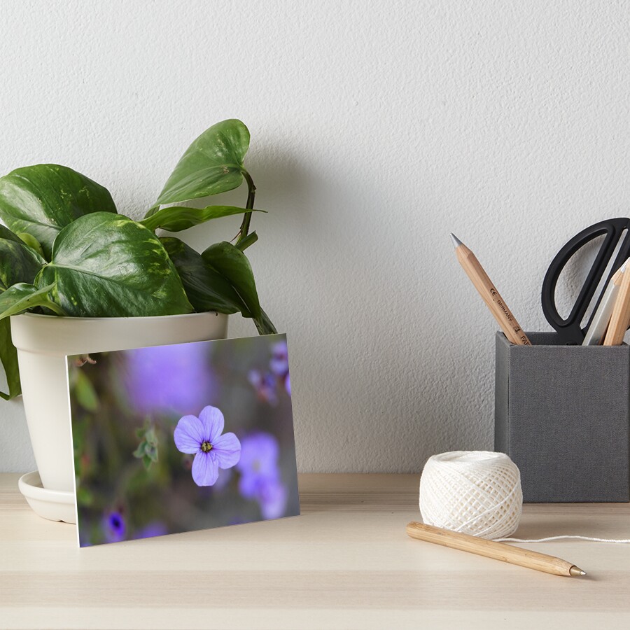 Item preview, Art Board Print designed and sold by HappySnapping.