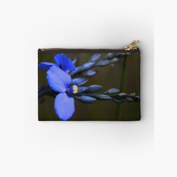 Item preview, Comesperma sphaerocarpum  designed and sold by andrachne.