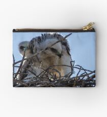 Red Tailed Hawk Chicks Studio Pouch