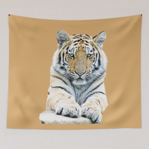 Item preview, Orange Tiger with Golden Eyes resting on his Paws, great gifts for the animal lover! designed and sold by EZNummus.