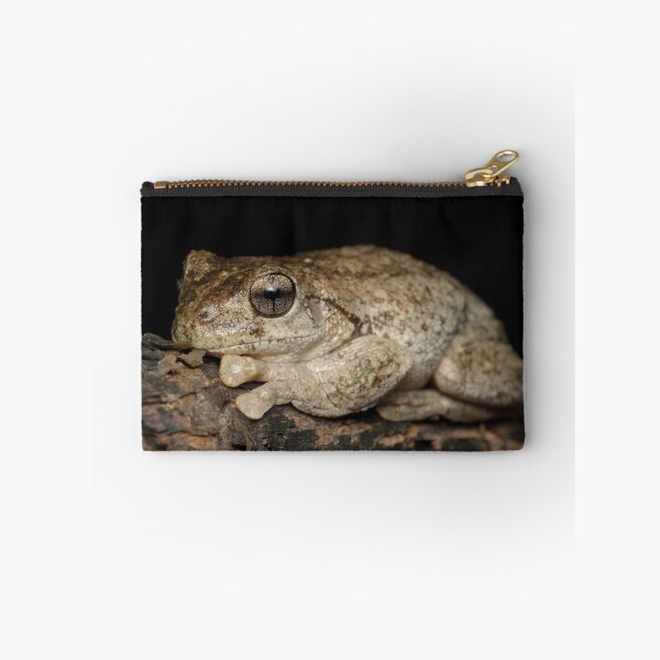 Item preview, Peron's Tree Frog - Litoria peronii designed and sold by Andrew Trevor-Jones.