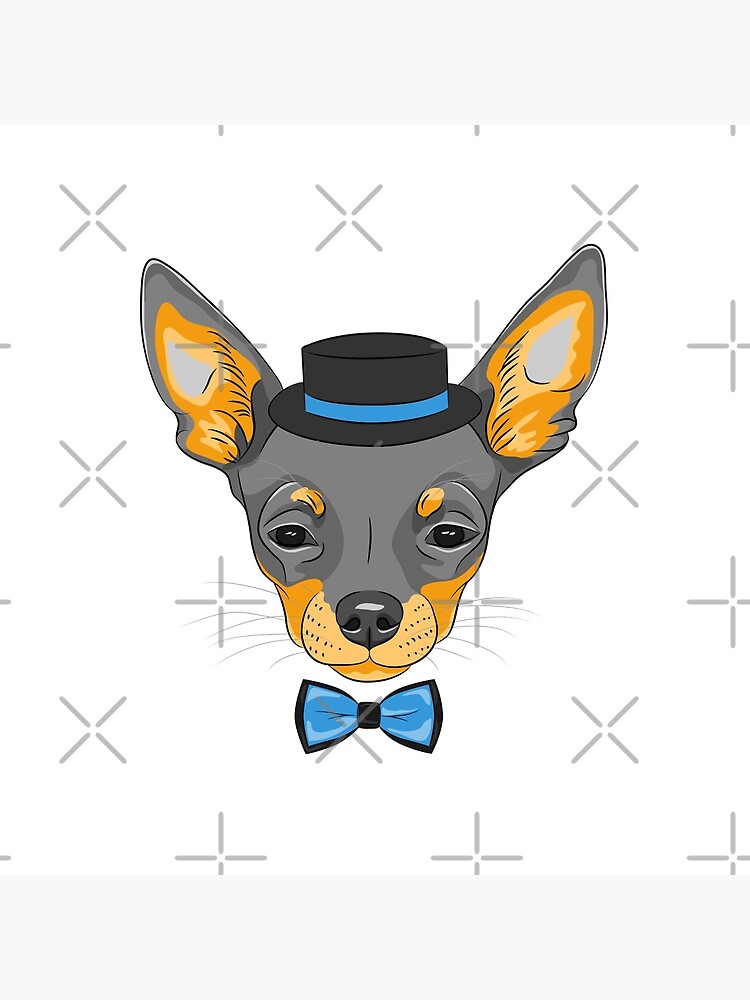 Hipster cute dog Chihuahua by kavalenkava