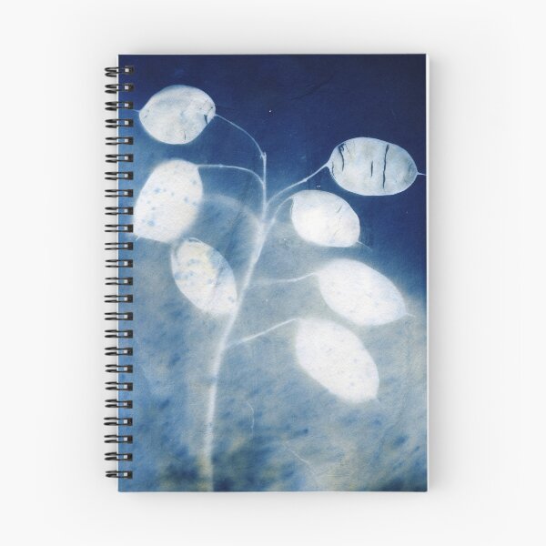 Item preview, Honesty - Cyanotype Print of Honesty Plant designed and sold by Catherine Stephenson.